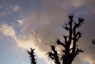奈良税務署から西の空を眺める